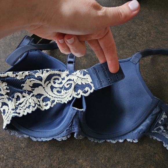 Wacoal Blue And Cream Lace T-shirt Bra. Size 36C - Picture 4 of 5